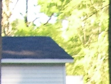 Brandon Mallard Obituary - Charlotte, NC