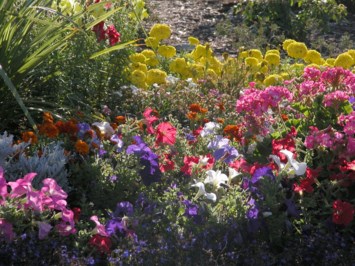 Obituary of Nancy Bradshaw Wall