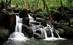 Obituary of John Gregory Rodden