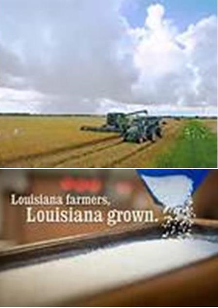 Obituary of Charles Abner Denton