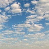 Obituary of Earl Ray White