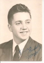 Obituary of Daniel P. Novak