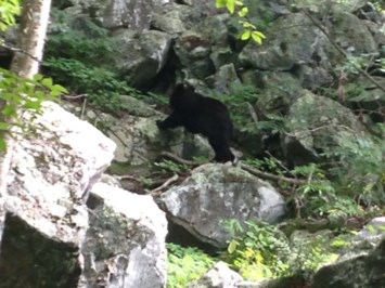 Avis de décès de Rusalin Lungocia