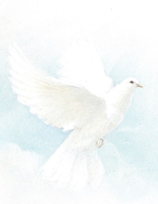 Obituary of John Lynch