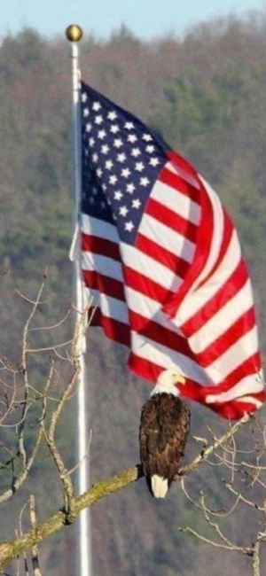 Obituary of Thomas Edward Wallace Sr.