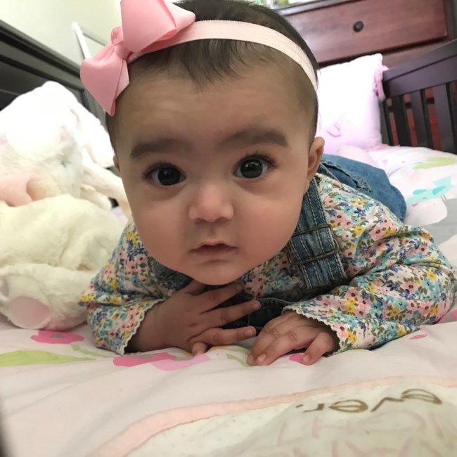 Obituary of Adalyn Luna