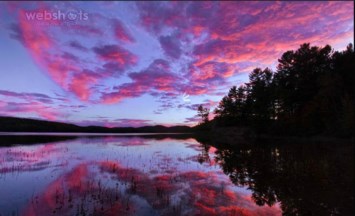 Obituary of Mary A. Timmons