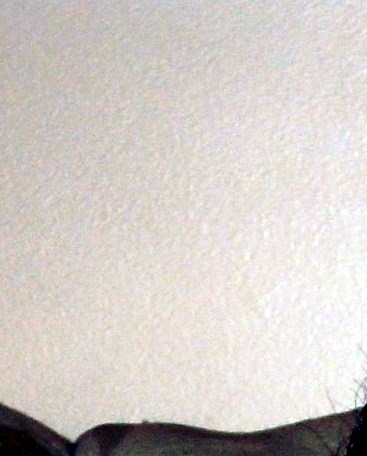 Brenda Lee Renwick Obituary - Williamsburg, VA