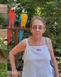 Obituary of Sharon Lyn Michaels