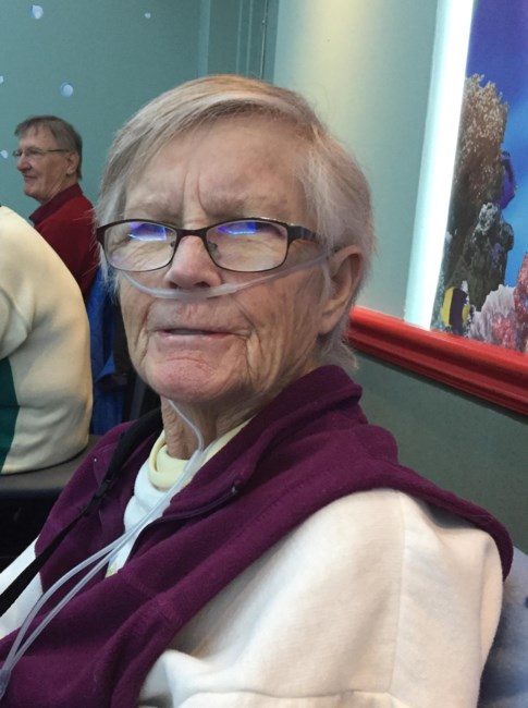 obituary image