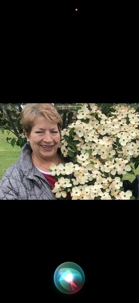 Obituary of Marsha Carolyn Roe