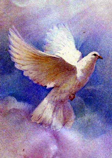 Obituary of Rita F Willoughby