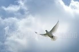 Obituary of Judith A. Rodriguez