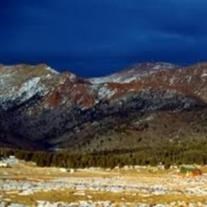 Obituary of Nancy Jill Marsh