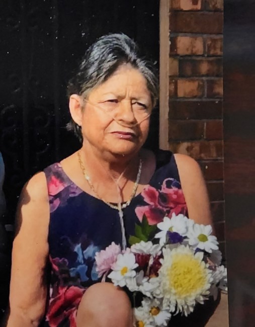 Obituary of Melissa D'Anna Holliday