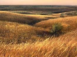 Avis de décès de Bill R Newman