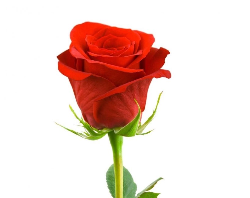 Obituary of Lorraine Hagerty