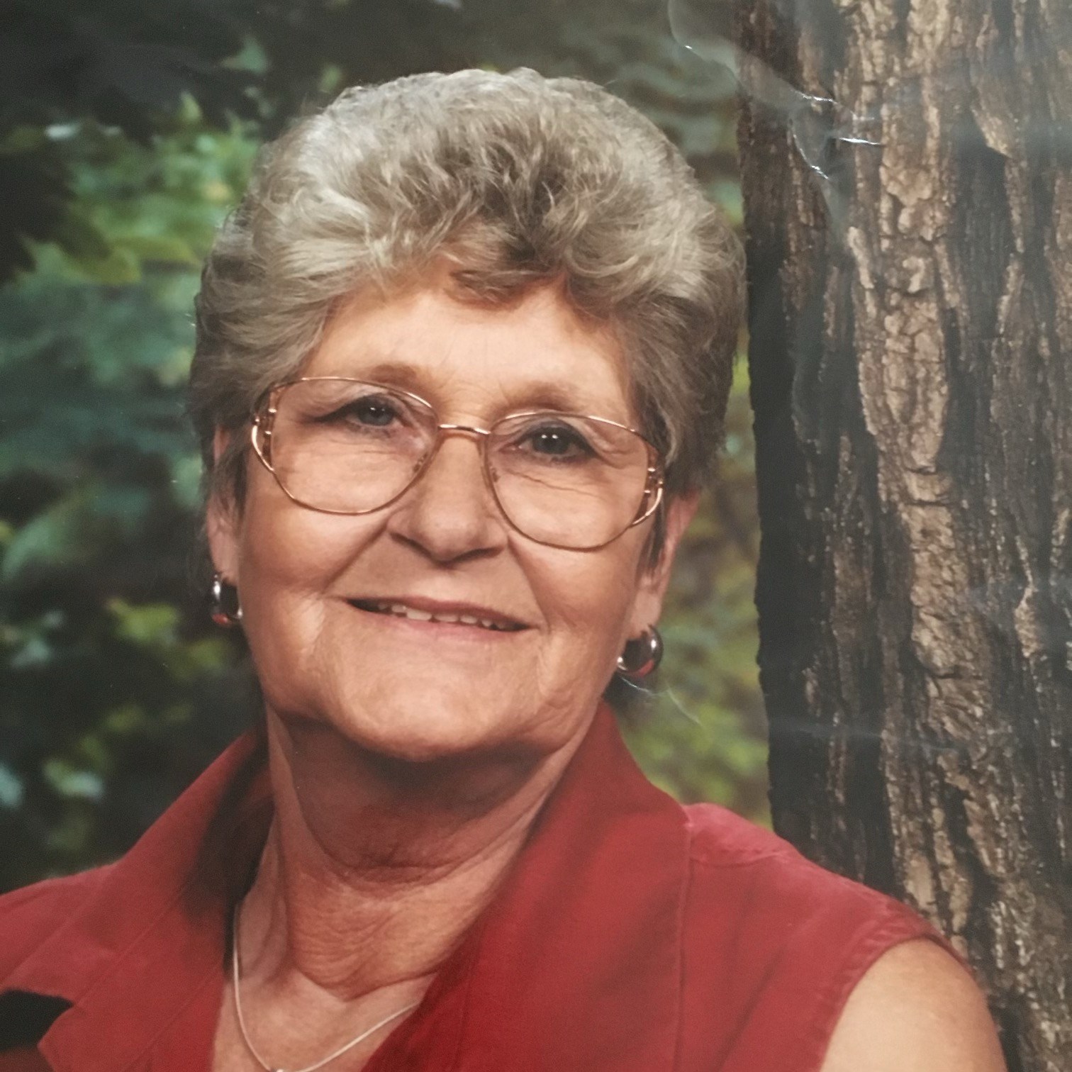 Obituary of Mary Ann Semons