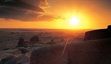 Obituary of Harvey Warren Topilow MD