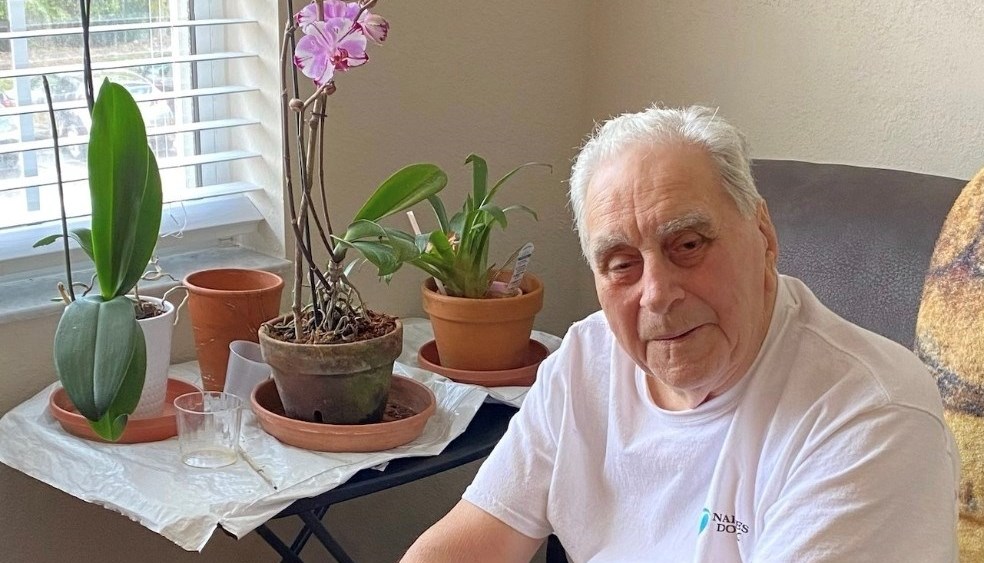 Braidwood Obituary Naples, FL