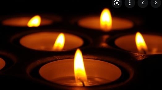 Obituary of Elaine Oppenheimer