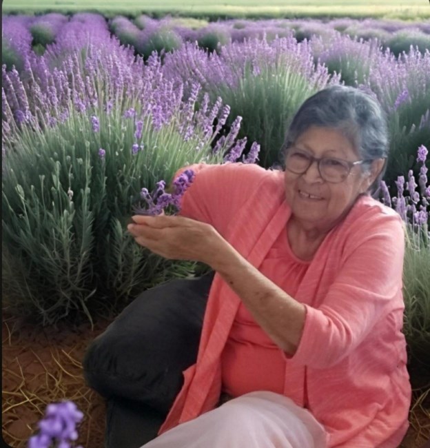 Obituary of Guadalupe Hernandez