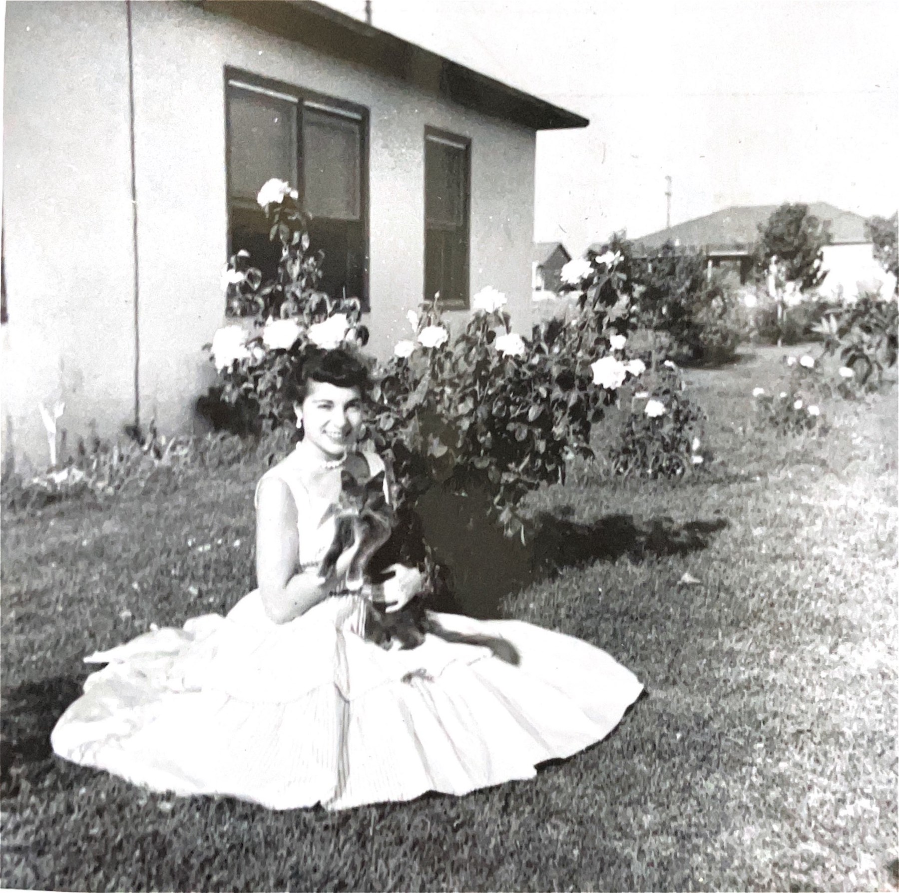 Obituary of Lorraine Rose Schaff