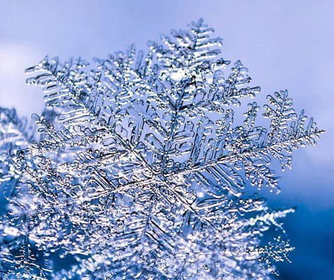 Obituary of Moria Michele Riley