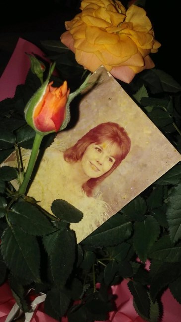 Obituary of Norma Jean Lehman