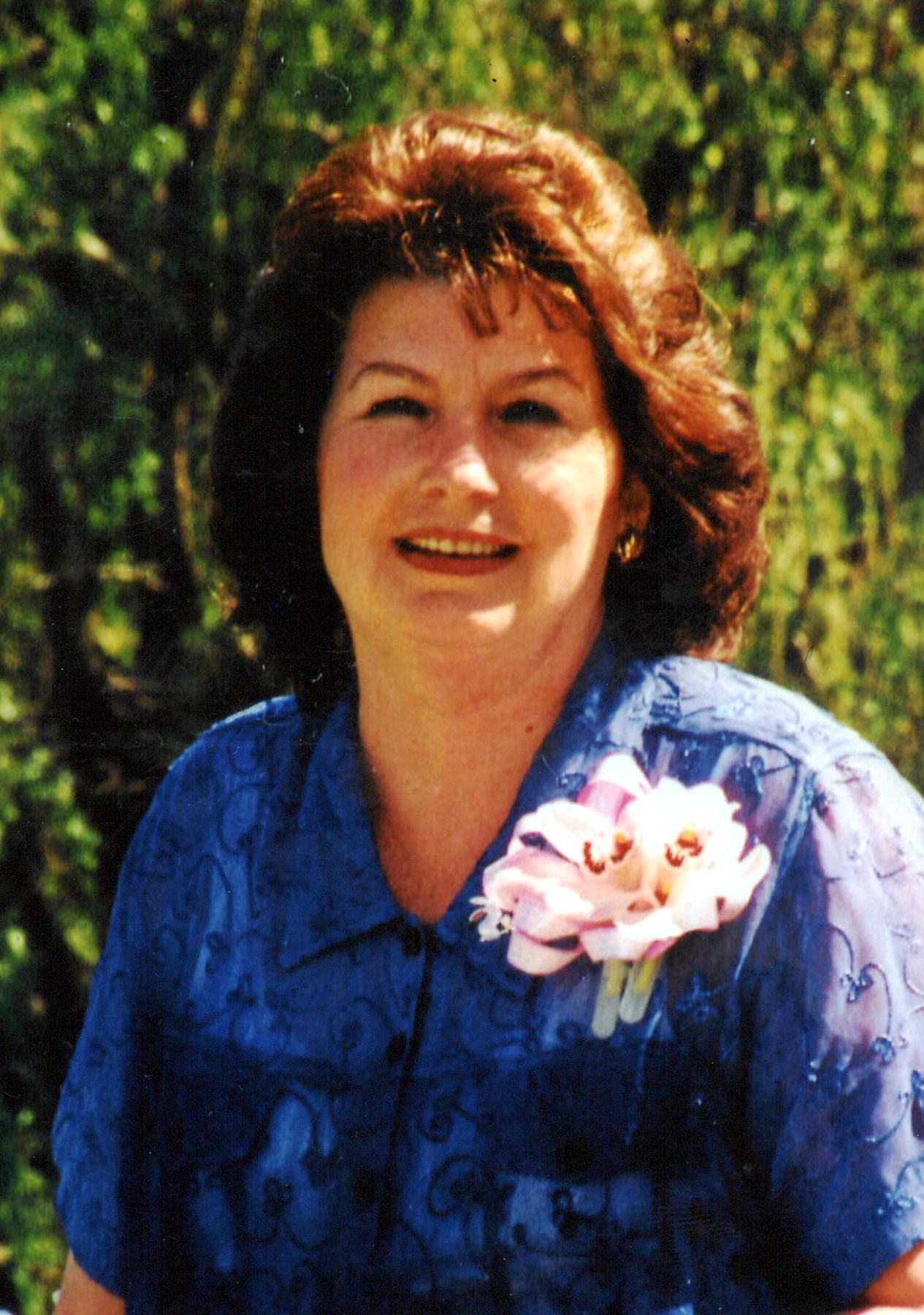 Evelyn B. Barbour Tretinik Obituary Jefferson PA