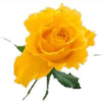 Obituary of Madora Lynn Morgan