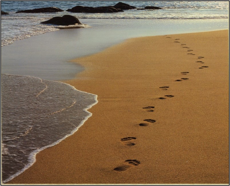 Obituary of Thu Van Le