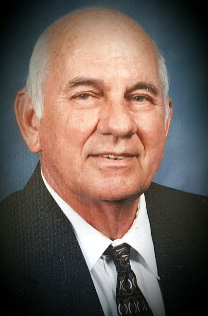 Obituary of Reese Lewis Woolley Jr.