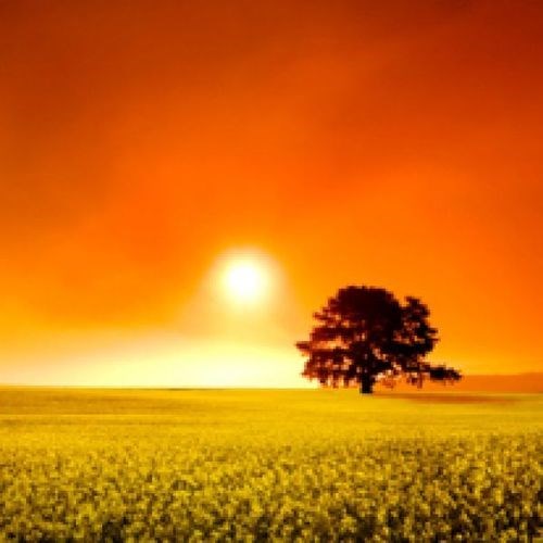 Obituary of Nunsic Caruso