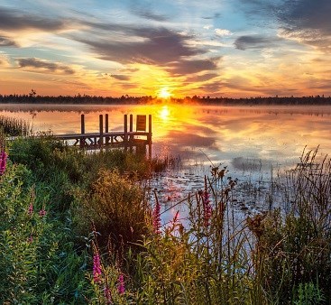 Avis de décès de James Peter Damurjian