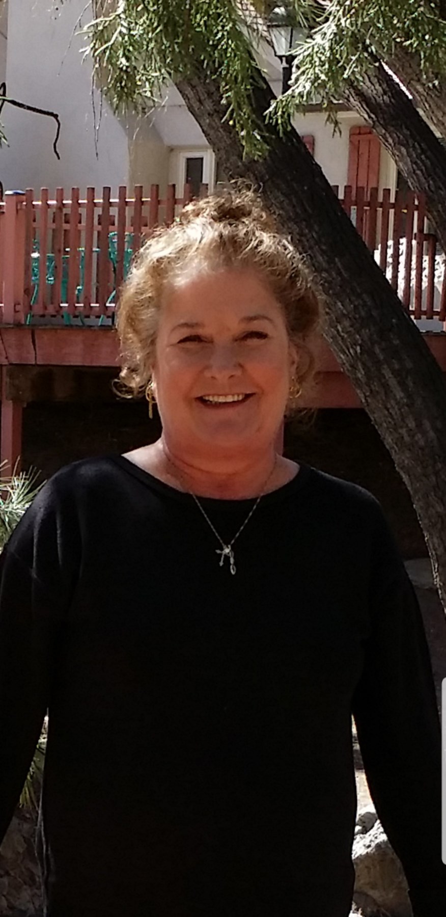 Obituary of Patricia Sue Ambrose