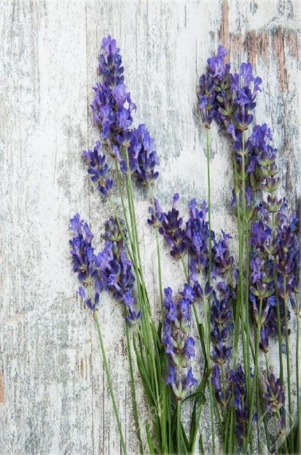 Obituary of Kenneth Michael Geary