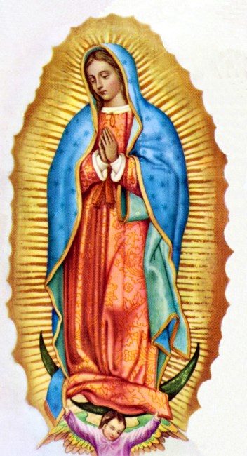 Obituary of Felicia Lang