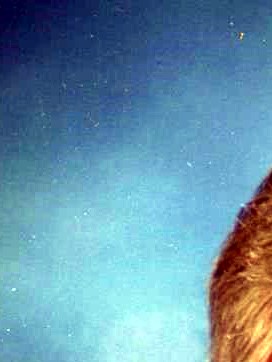 Bettie Ann Farley Obituary Tuscaloosa, AL
