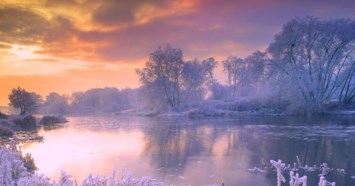 Obituary of Lana Ann Morales