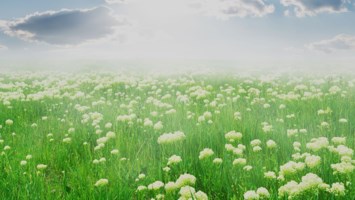 Obituary of Carole Ann Taylor