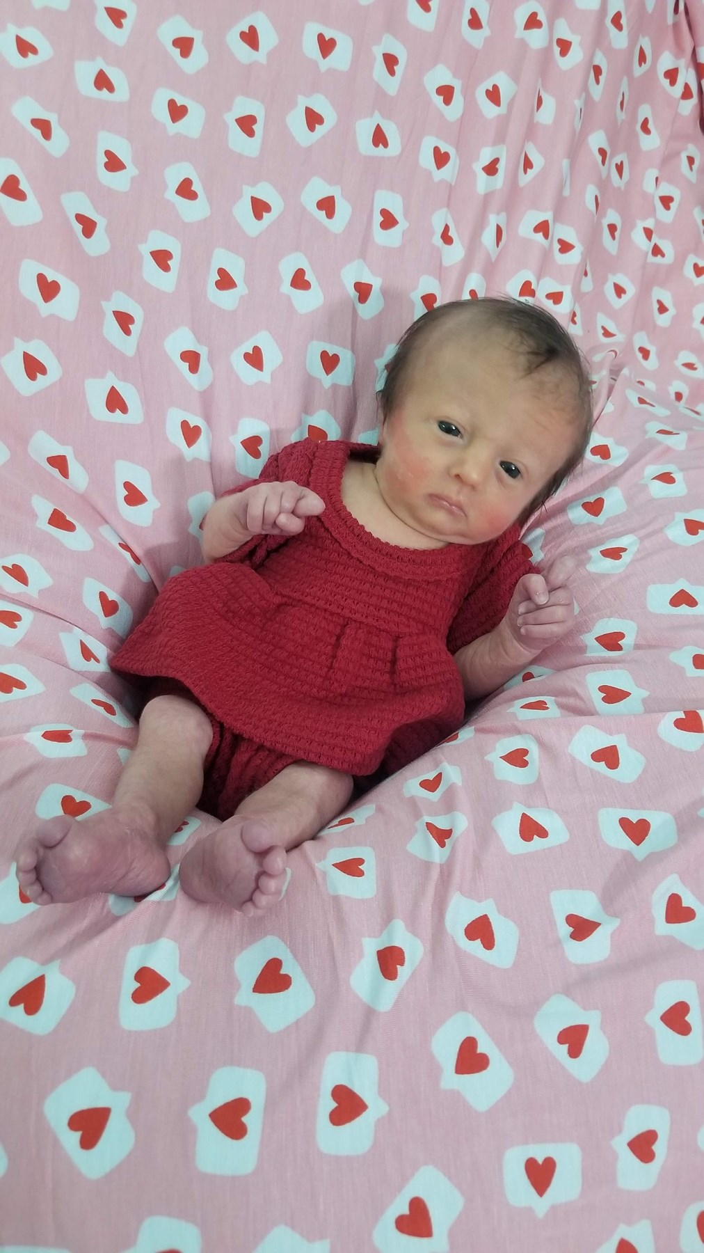 Obituary of Zoey Robin Pinkney