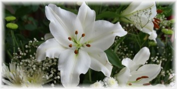 Obituary of Joanne Barbara Wishart