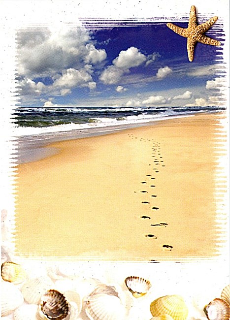 Obituary of Robin Elaine Moser