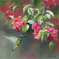 Obituary of Shirley Marie Roberts