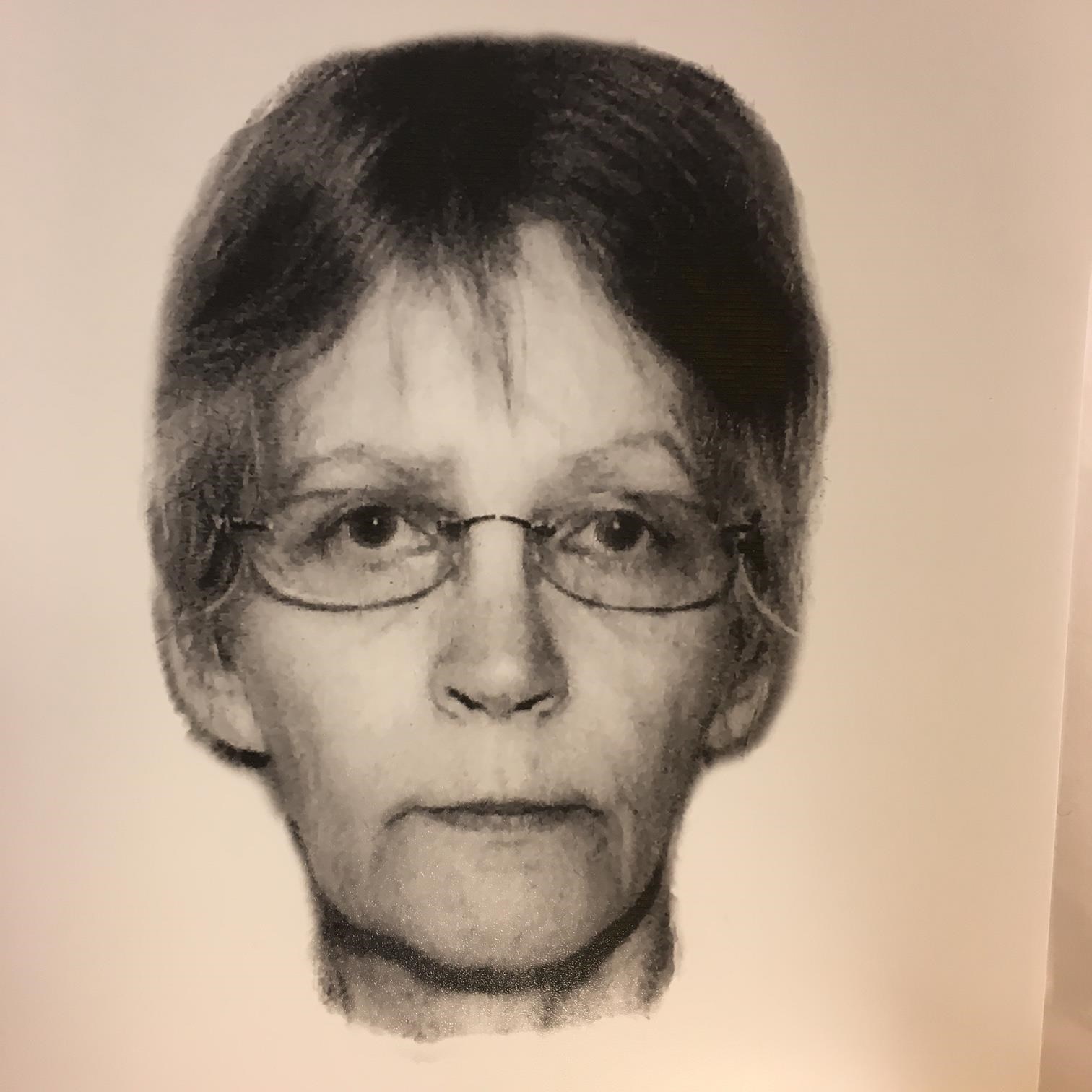 Obituary of Susan Ann Anderson