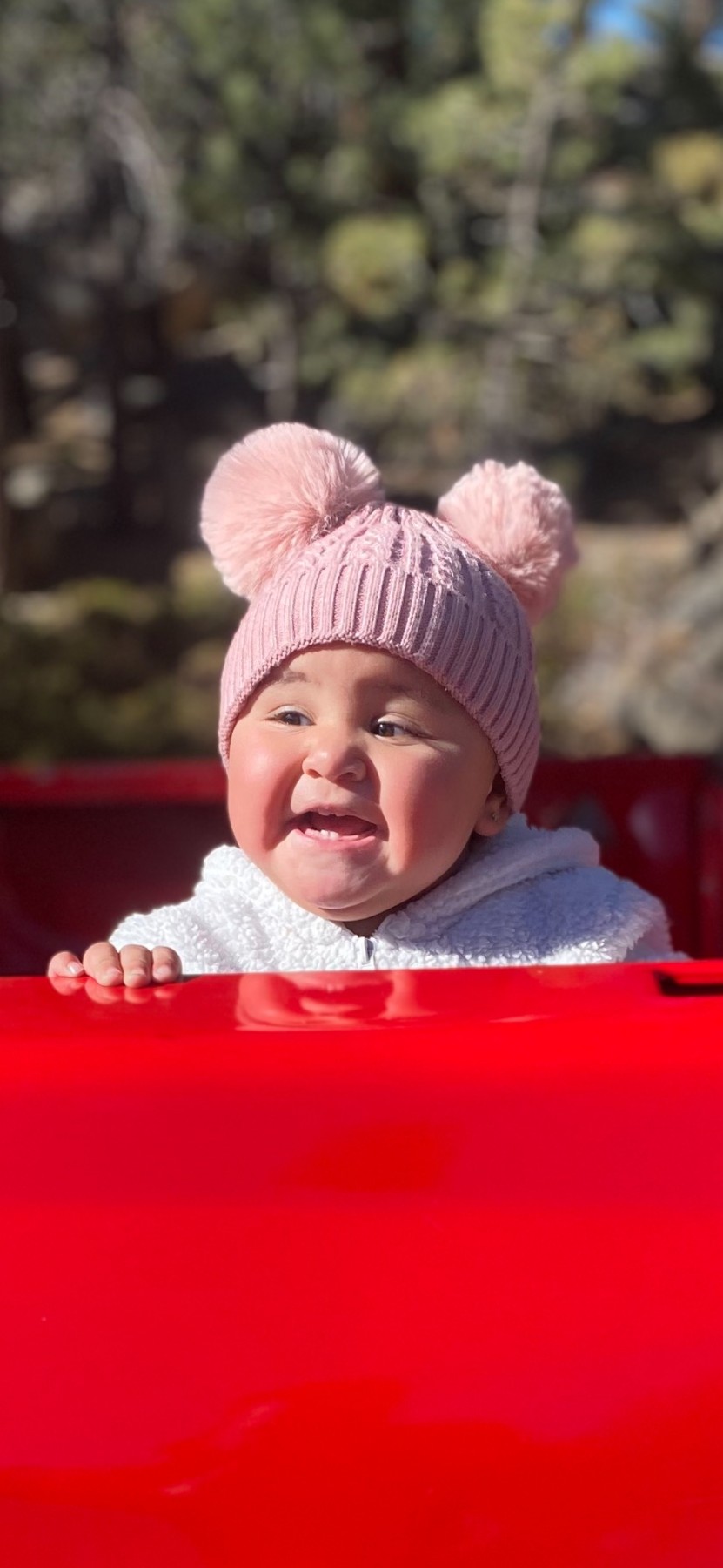 Obituary of Rosemary Alaia Solis