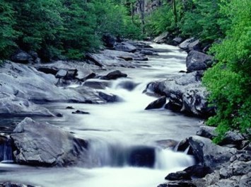 Obituary of Mario Escobar Carranza