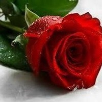 Obituary of Hazel M. Johnson