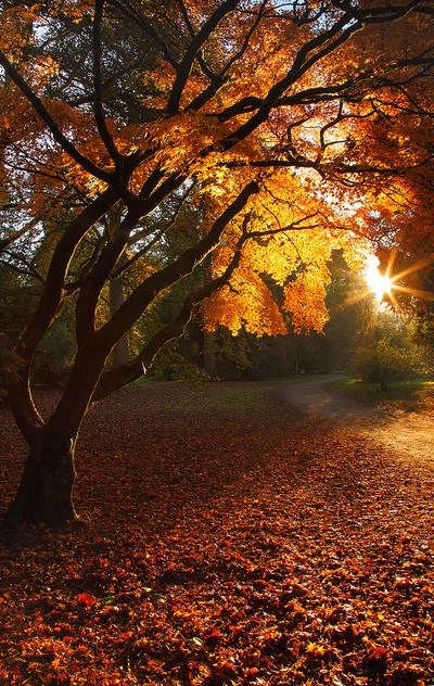 Obituary of James J. Mock